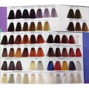 CARTA DE COLOR FANOLA